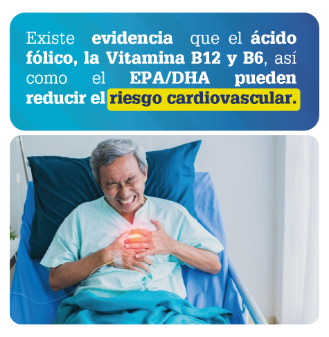 misalud-vital-cardio-a6